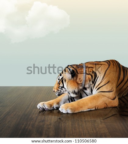 tiger sleep under the sky with cloud on wood floor
