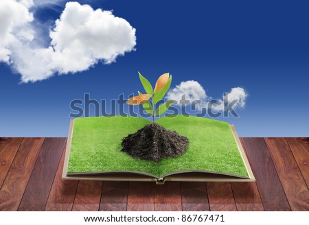 Open 3D book with tree on green grass field and bent, conceptual idea