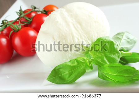 Mozzarella cheese with a bunch of cherry tomatoes and fresh leaves of basil