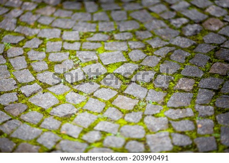 Cobblestone with grass bricks showing perspective to a new beginning.