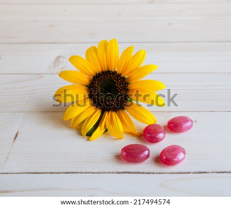 sunflower on a wooden background with red candy