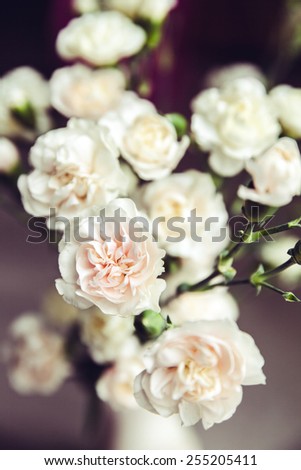 flowers. delicate bouquet of carnations in a vase vintage. romance