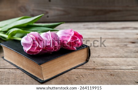 pink tulips on a pile of old books. Flowers