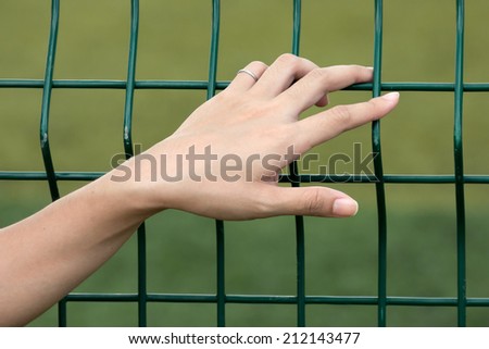 Closeup on a female hand holding a mesh wire fence