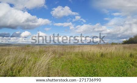 ears of rye on the field and storm clouds in the sky, landscape