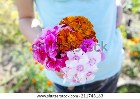 fresh cut flowers in hand of girl. garden flowers