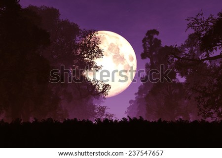 Mysterious Magical Fantasy Fairy Tale Forest at Night in the Full Moon light 3D artwork