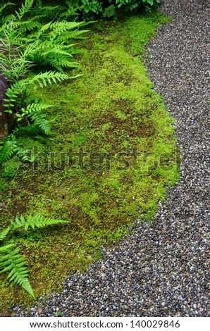 mosses and fine stones in a Japanese garden