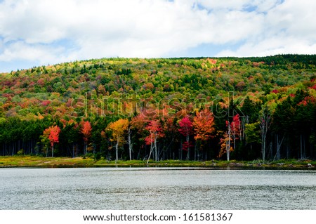 Trees are changing colors along Shaver\'s Lake in West Virginia.