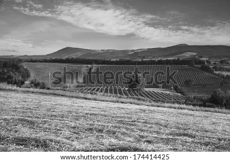 Black and white landscape of a field with trees and a sky with light white clouds