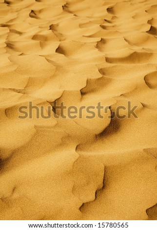 View of lifeless desert
