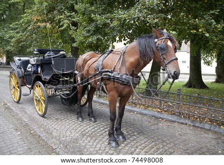 Carriage horse waiting for it\'s next passenger
