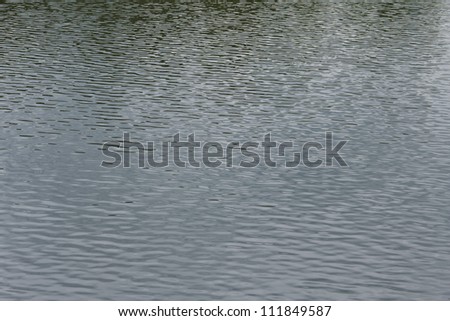 ripples on a water surface