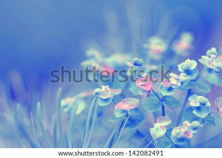 Beautiful bright background with delicate delicate flowers.