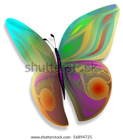 Colorful Butterflies on Vector Artistic Colorful Butterflies Eps10 Vector Design Find Similar