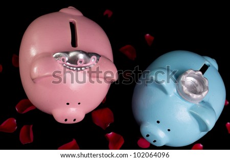 King & queen piggy banks on a bed of red rose petals on black background