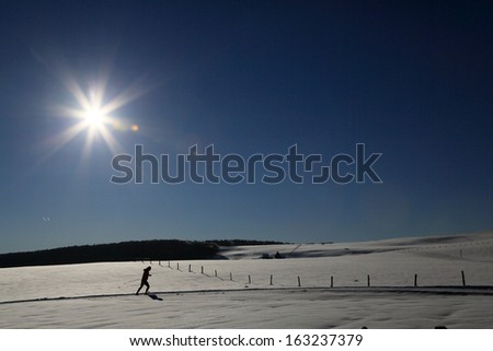 cross-country skiing under the sun