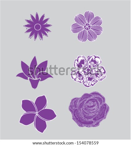 flowers  design over purple background vector illustration