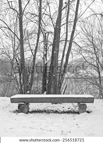 A bench in the snow.