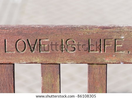 A memorial sign carved into the back of a wooden bench.