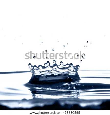 A water crown caused by a water droplet falling into a bowl of water.