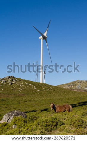 Wind farm. Modern windmills or wind turbines in the countryside landscape. Electricity is powered ecological and considered better for the environment over oil and other fossil fuels.