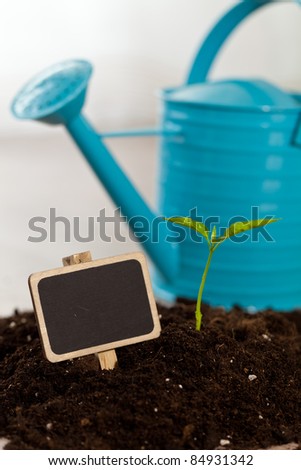 Little plant growing in a fresh soil