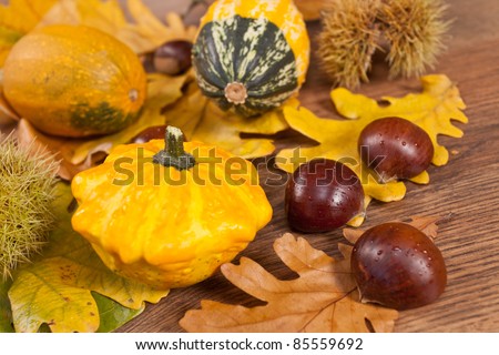 Cute autumn decorative pumpkins background