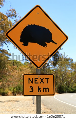 Australian road sign warning of the possibility of echidnas.