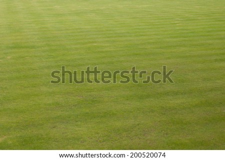 green grass on a bowling green