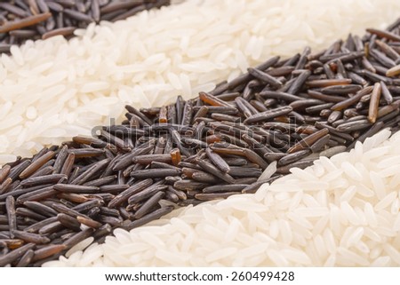 Strip of white rice and a strip of black rice
