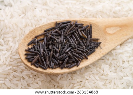 Spoon black wild rice in white long grain rice
