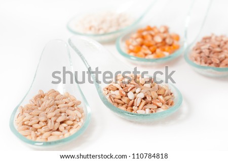 Cereals _ Grains on glass spoons