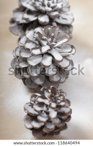 Pine cones with snow on wood