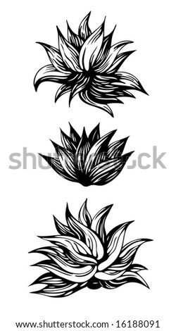 Decoration Flower. Design Elements. Vector Illustration - 16188091 Decoration Flower. Design Elements. Vector Illustration - 16188091