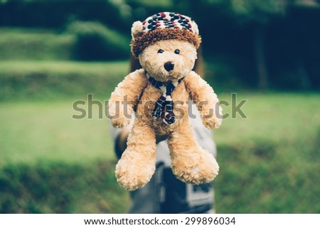 Mini bear doll vintage colored filter.