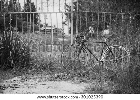 Vintage bicycle park with rust barbed wire in black and white.