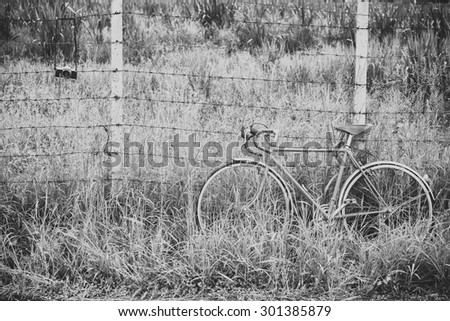 Vintage film camera and bicycle park with rust barbed wire and black and white filter.