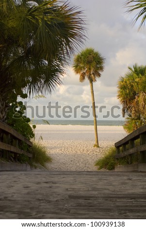 A wooden path to a sunny empty beach framed by palms