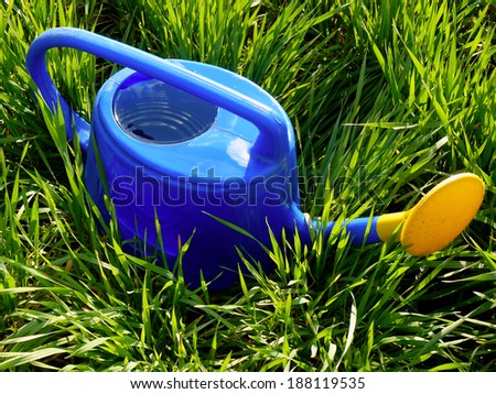 plastic watering can full of water among growing green grass