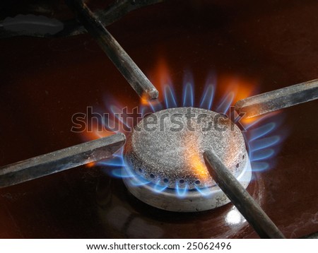 burning gas ring on the domestic kitchen gas stove