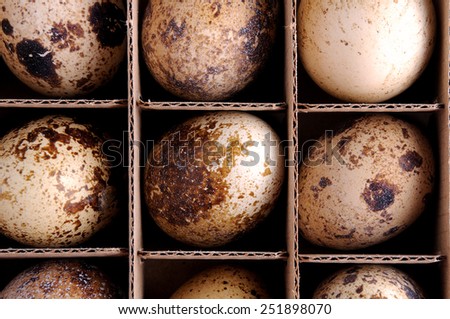 quail, egg, nobody, cut out, egg white, organic, quail\'s egg, quail eggs, food and drink, abundance, egg yolk, broken, quail egg, full frame, ingredient, fresh, food, cracked
