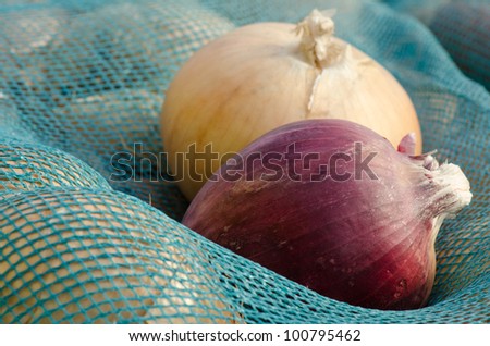 A red and a white onion on a turquoise mesh sack of onions.