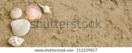 Banner format with seashells on a sandy beach with room for text