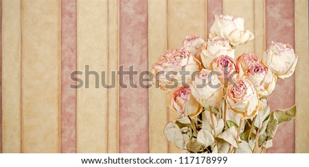 Bouquet of dried cabbage roses on a striped background