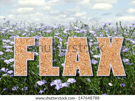 Flax text filled with flax seed on a background image of a flowering flax field