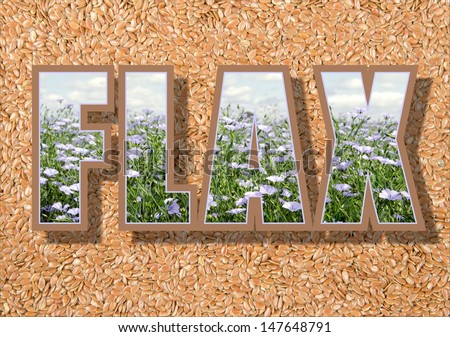 Flax text filled with image of a flowering flax field on a background image of flax seed