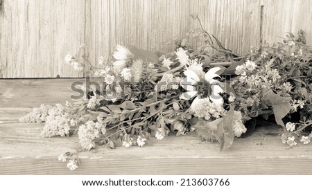 Black and white image of a bouquet of prairie wildflowers