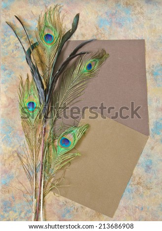 Peacock feathers and blank paper panels on a metallic paper background.