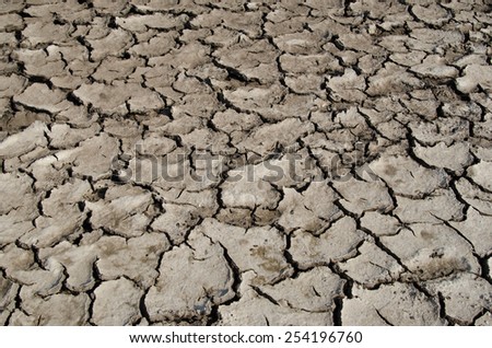 Dried earth on the salt flats that has cracked after a rain dries up